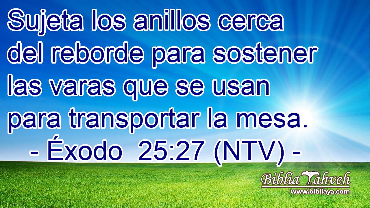 Sujeta los anillos cerca del reborde para sostener las varas que se usan para transportar la mesa.