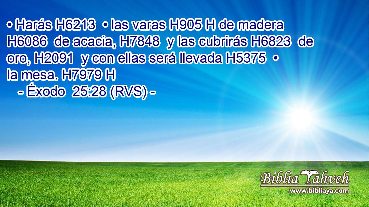 • Harás H6213  • las varas H905 H de madera H6086  de acacia, H7848  y las cubrirás H6823  de oro, H2091  y con ellas será llevada H5375  • la mesa. H7979 H 