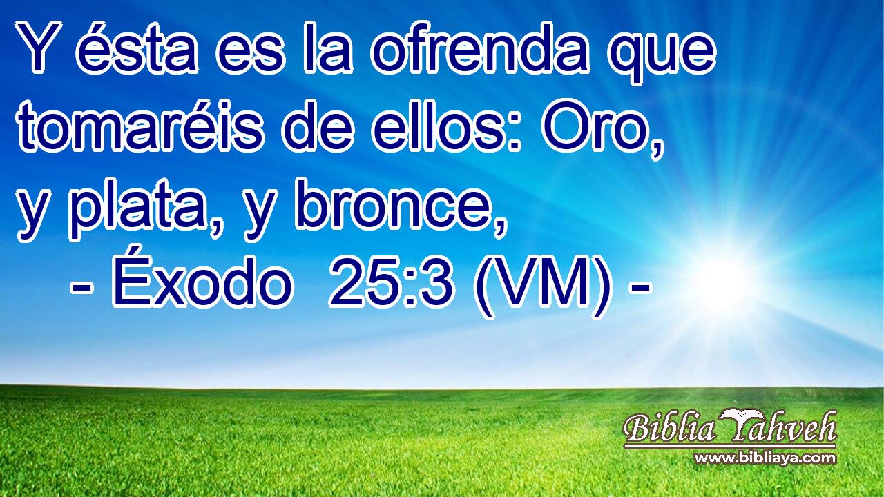  Y ésta es la ofrenda que tomaréis de ellos: Oro, y plata, y bronce, 