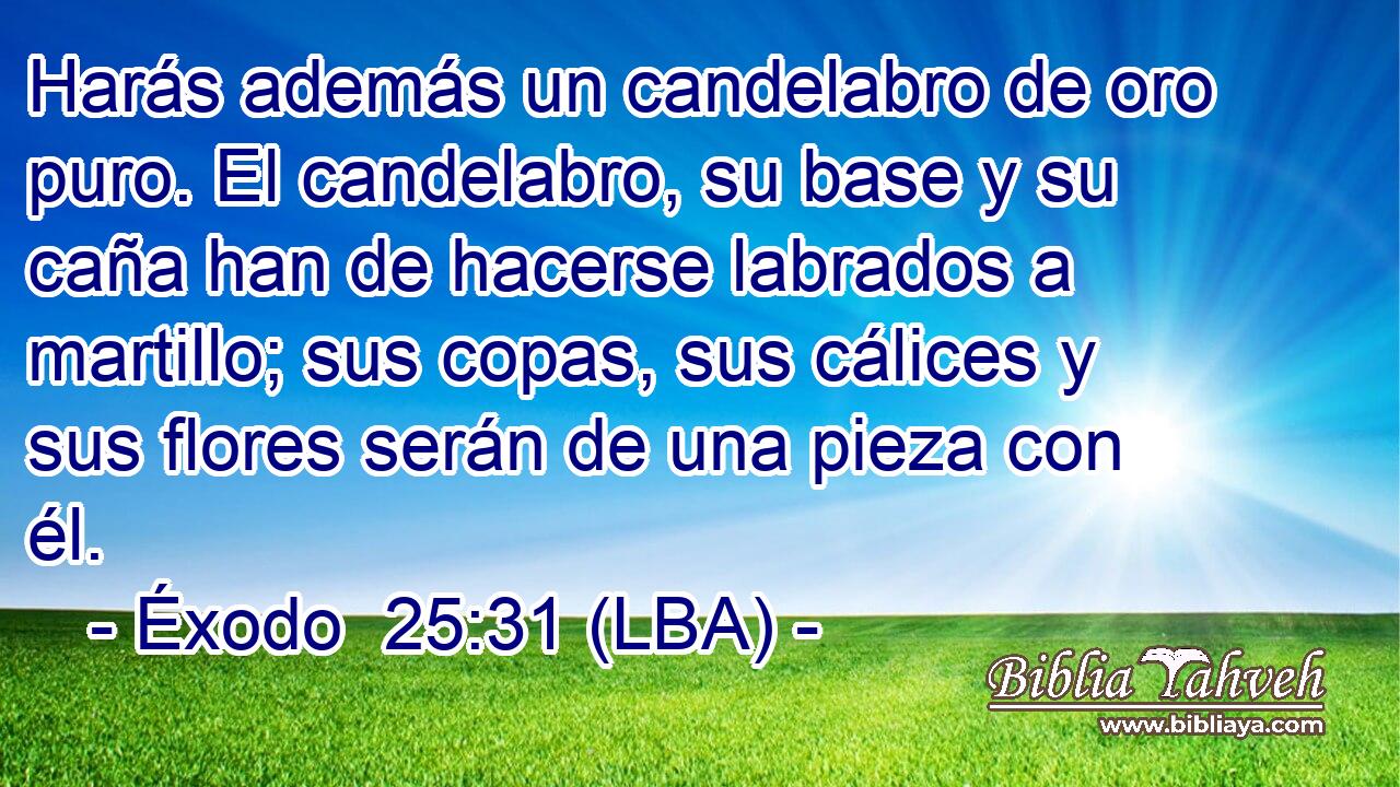 Harás además un candelabro de oro puro. El candelabro, su base y su caña han de hacerse labrados a martillo; sus copas, sus cálices y sus flores serán de una pieza con él.