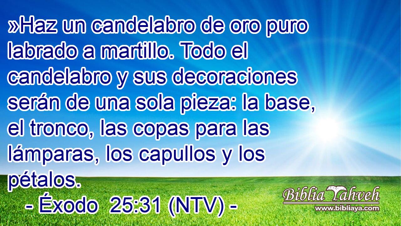 »Haz un candelabro de oro puro labrado a martillo. Todo el candelabro y sus decoraciones serán de una sola pieza: la base, el tronco, las copas para las lámparas, los capullos y los pétalos.