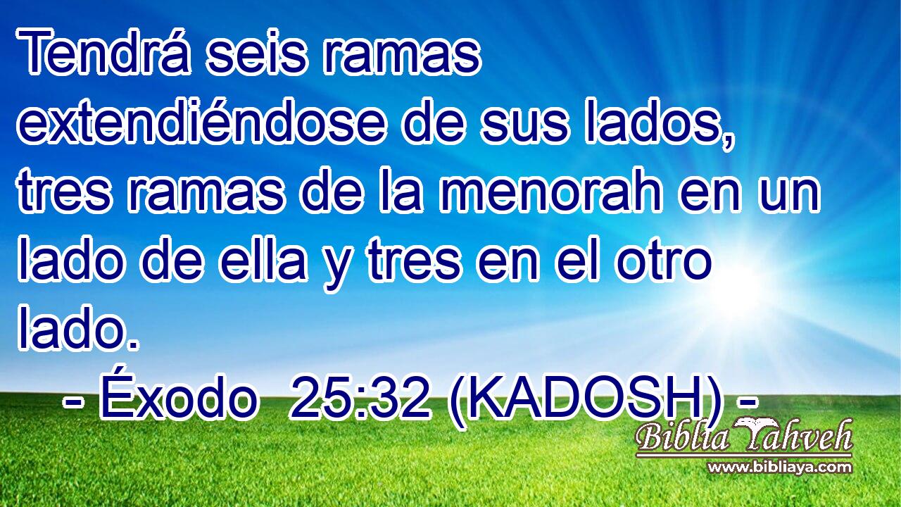  Tendrá seis ramas extendiéndose de sus lados, tres ramas de la menorah en un lado de ella y tres en el otro lado. 