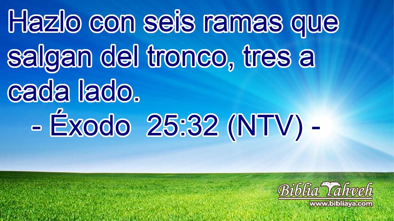 Hazlo con seis ramas que salgan del tronco, tres a cada lado.