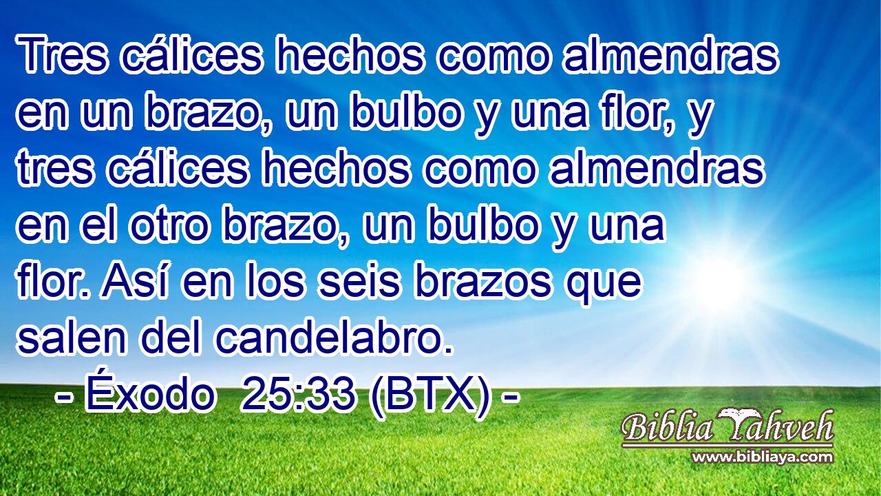 Tres cálices hechos como almendras en un brazo, un bulbo y una flor, y tres cálices hechos como almendras en el otro brazo, un bulbo y una flor. Así en los seis brazos que salen del candelabro.