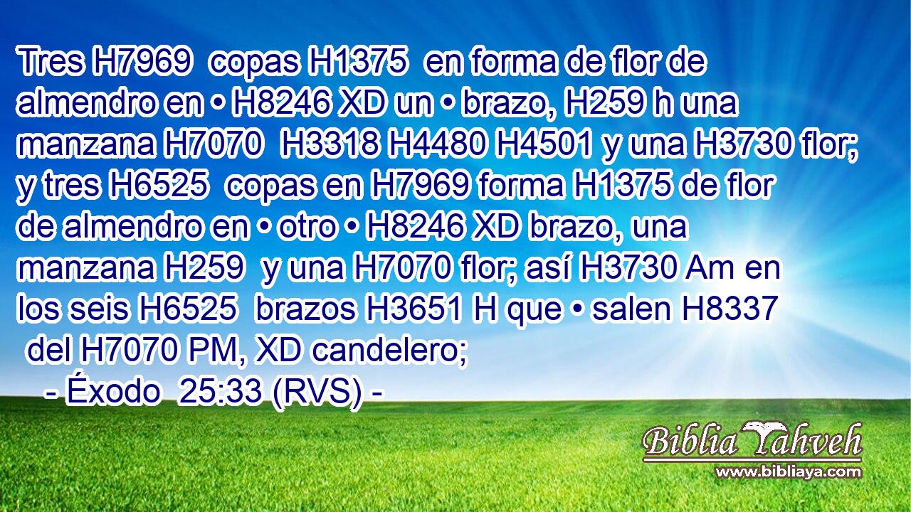 Tres H7969  copas H1375  en forma de flor de almendro en • H8246 XD un • brazo, H259 h una manzana H7070  H3318 H4480 H4501 y una H3730 flor; y tres H6525  copas en H7969 forma H1375 de flor de almendro en • otro • H8246 XD brazo, una manzana H259  y una H7070 flor; así H3730 Am en los seis H6525  brazos H3651 H que • salen H8337  del H7070 PM, XD candelero; 