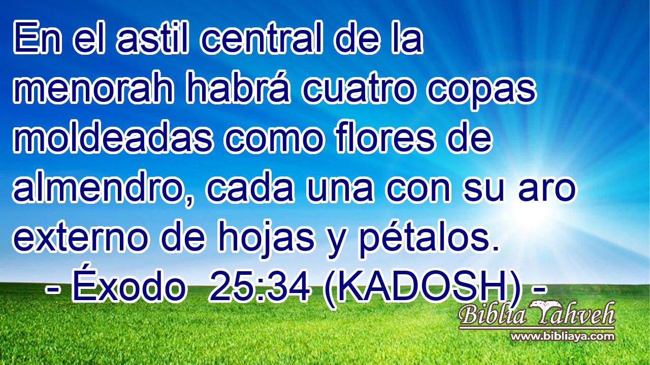  En el astil central de la menorah habrá cuatro copas moldeadas como flores de almendro, cada una con su aro externo de hojas y pétalos. 