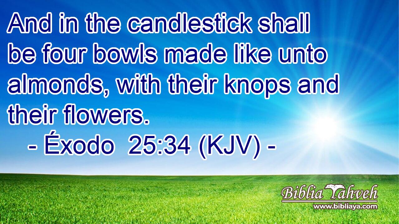 And in the candlestick shall be four bowls made like unto almonds, with their knops and their flowers.