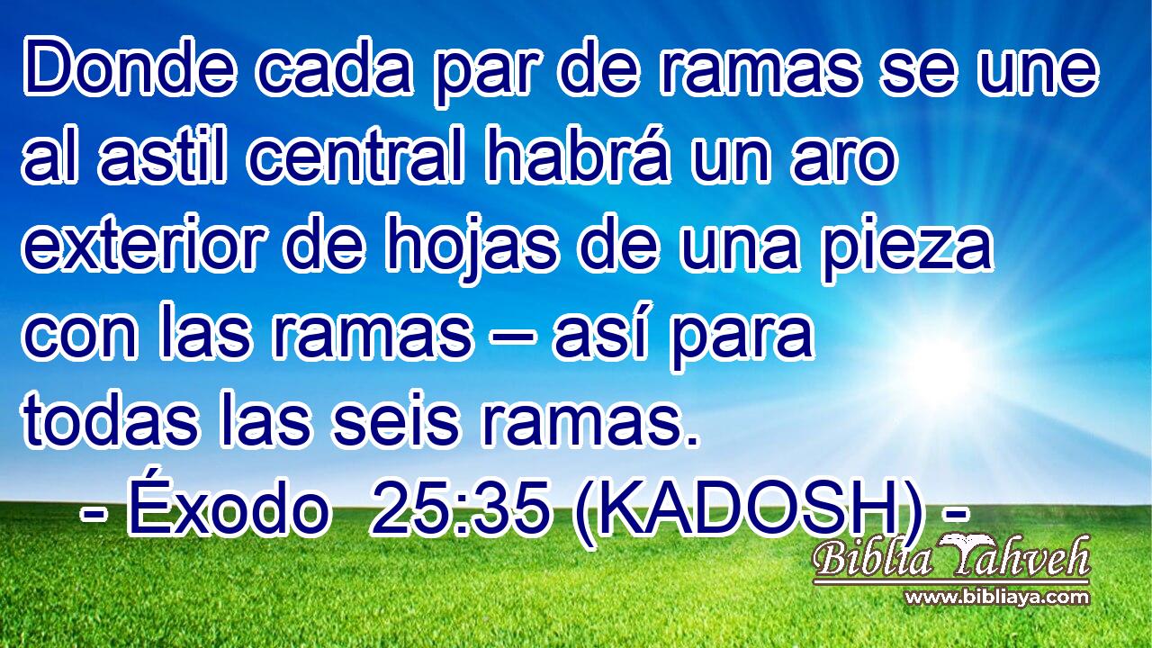 Donde cada par de ramas se une al astil central habrá un aro exterior de hojas de una pieza con las ramas – así para todas las seis ramas. 