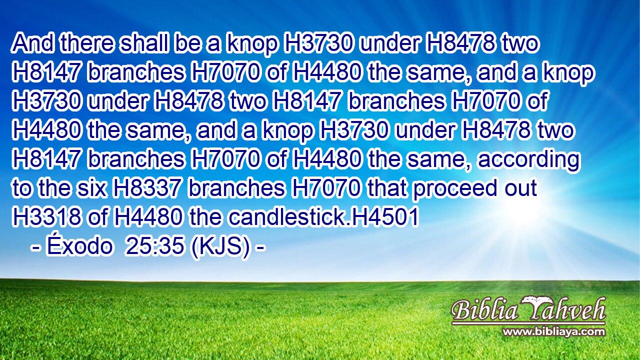 And there shall be a knop H3730 under H8478 two H8147 branches H7070 of H4480 the same, and a knop H3730 under H8478 two H8147 branches H7070 of H4480 the same, and a knop H3730 under H8478 two H8147 branches H7070 of H4480 the same, according to the six H8337 branches H7070 that proceed out H3318 of H4480 the candlestick.H4501