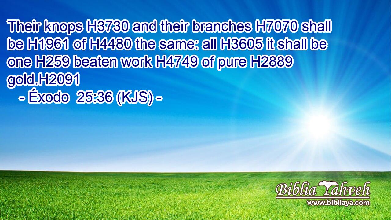 Their knops H3730 and their branches H7070 shall be H1961 of H4480 the same: all H3605 it shall be one H259 beaten work H4749 of pure H2889 gold.H2091