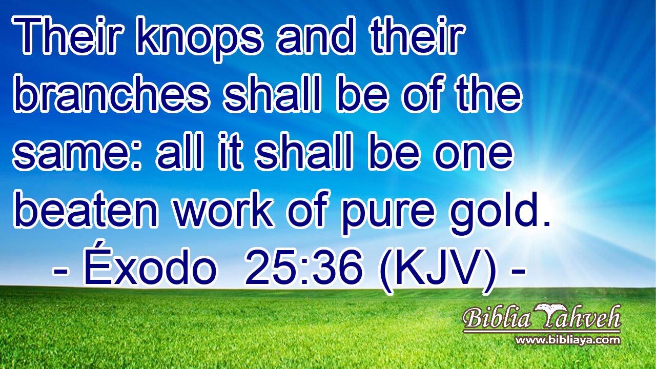 Their knops and their branches shall be of the same: all it shall be one beaten work of pure gold.