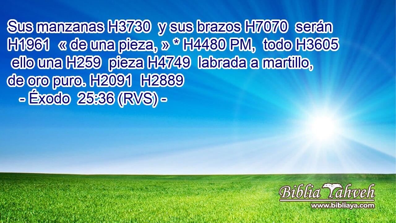 Sus manzanas H3730  y sus brazos H7070  serán H1961  « de una pieza, » * H4480 PM,  todo H3605  ello una H259  pieza H4749  labrada a martillo, de oro puro. H2091  H2889 
