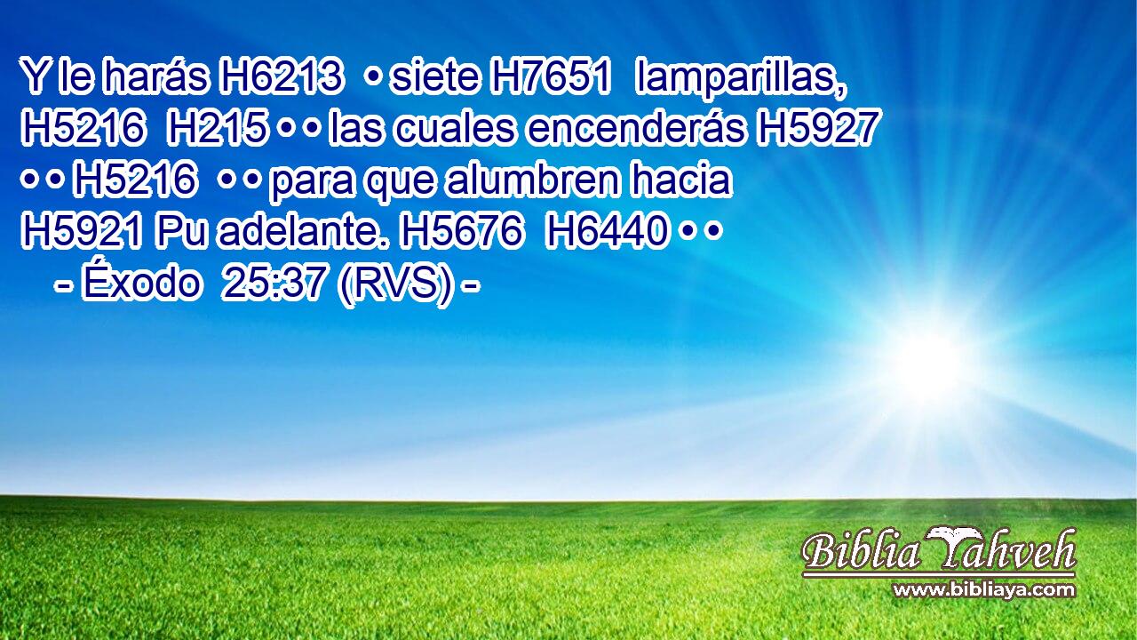 Y le harás H6213  • siete H7651  lamparillas, H5216  H215 • • las cuales encenderás H5927  • • H5216  • • para que alumbren hacia H5921 Pu adelante. H5676  H6440 • • 