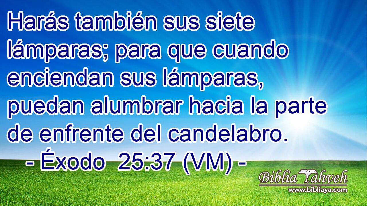  Harás también sus siete lámparas; para que cuando enciendan sus lámparas, puedan alumbrar hacia la parte de enfrente del candelabro. 