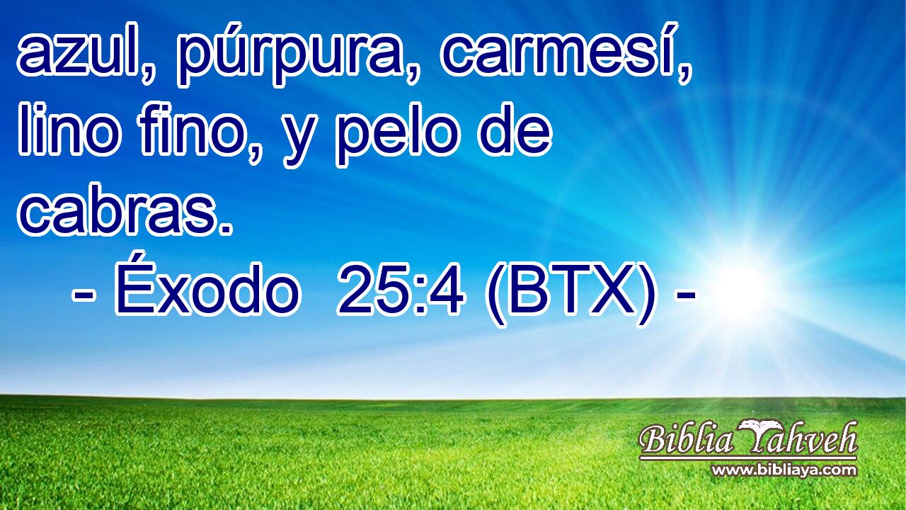 azul, púrpura, carmesí, lino fino, y pelo de cabras.
