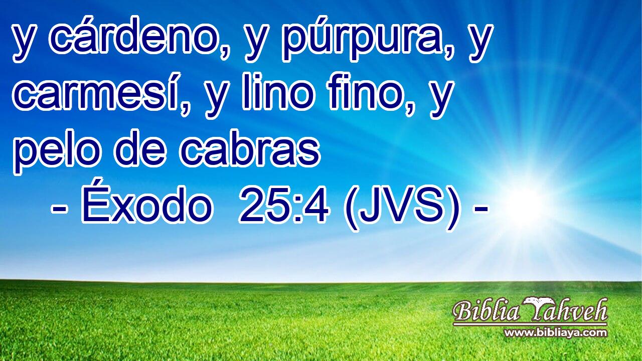 y cárdeno, y púrpura, y carmesí, y lino fino, y pelo de cabras