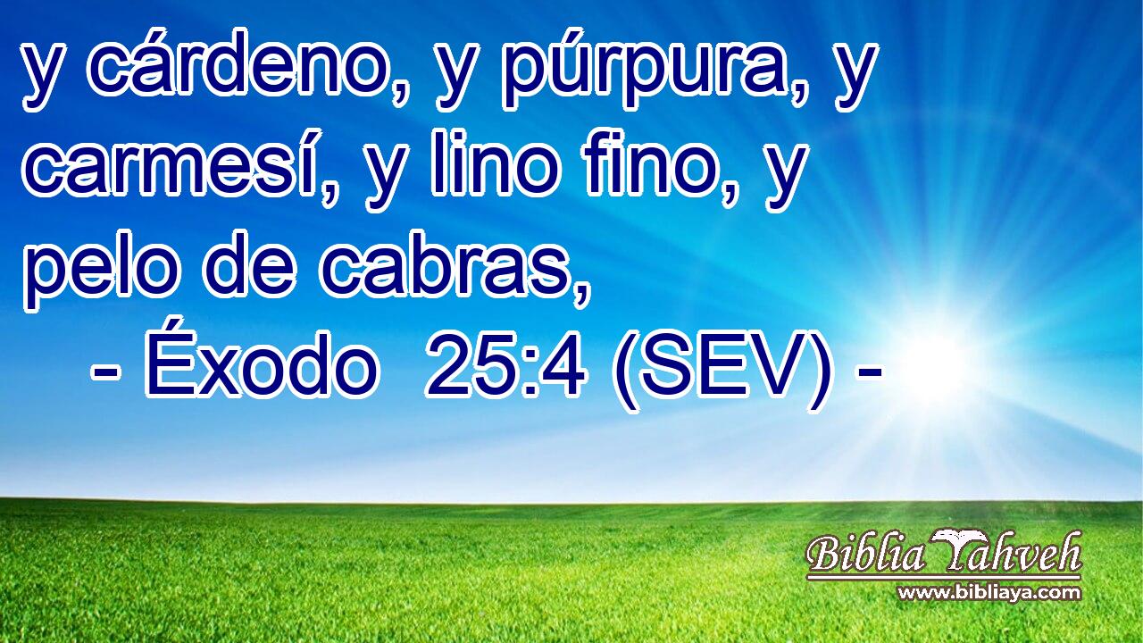 y cárdeno, y púrpura, y carmesí, y lino fino, y pelo de cabras,