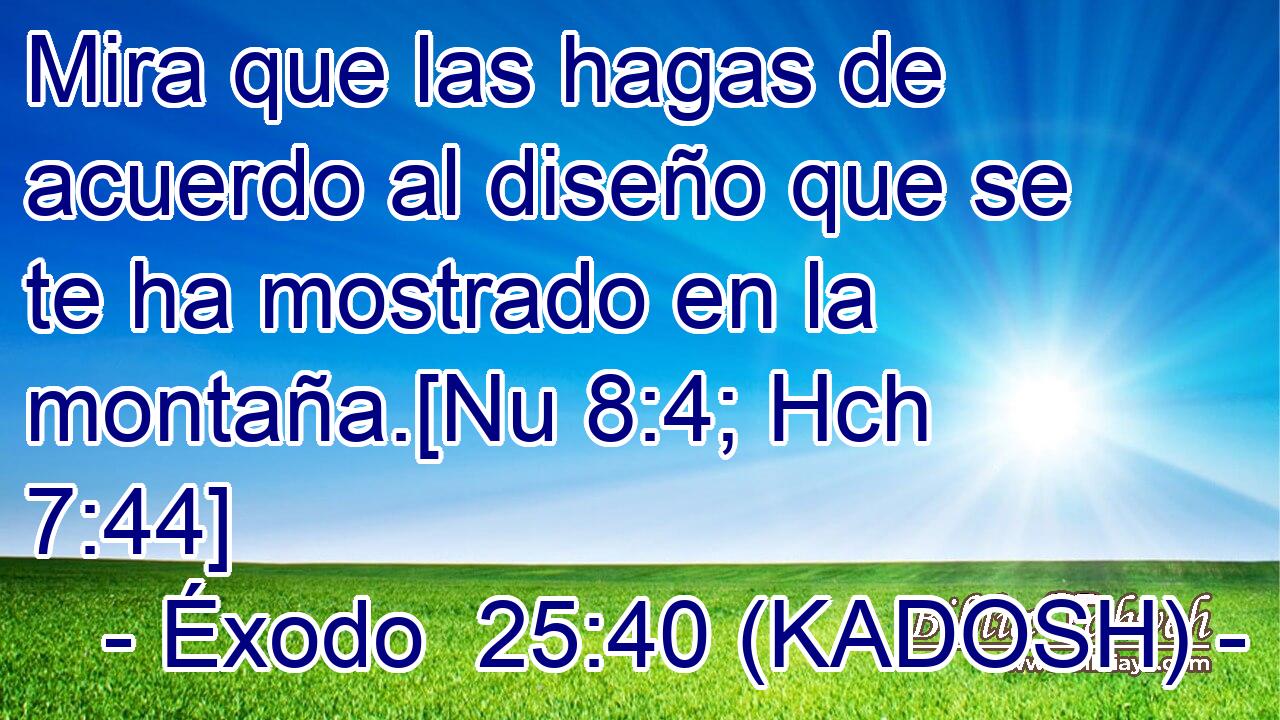  Mira que las hagas de acuerdo al diseño que se te ha mostrado en la montaña.[Nu 8:4; Hch 7:44] 