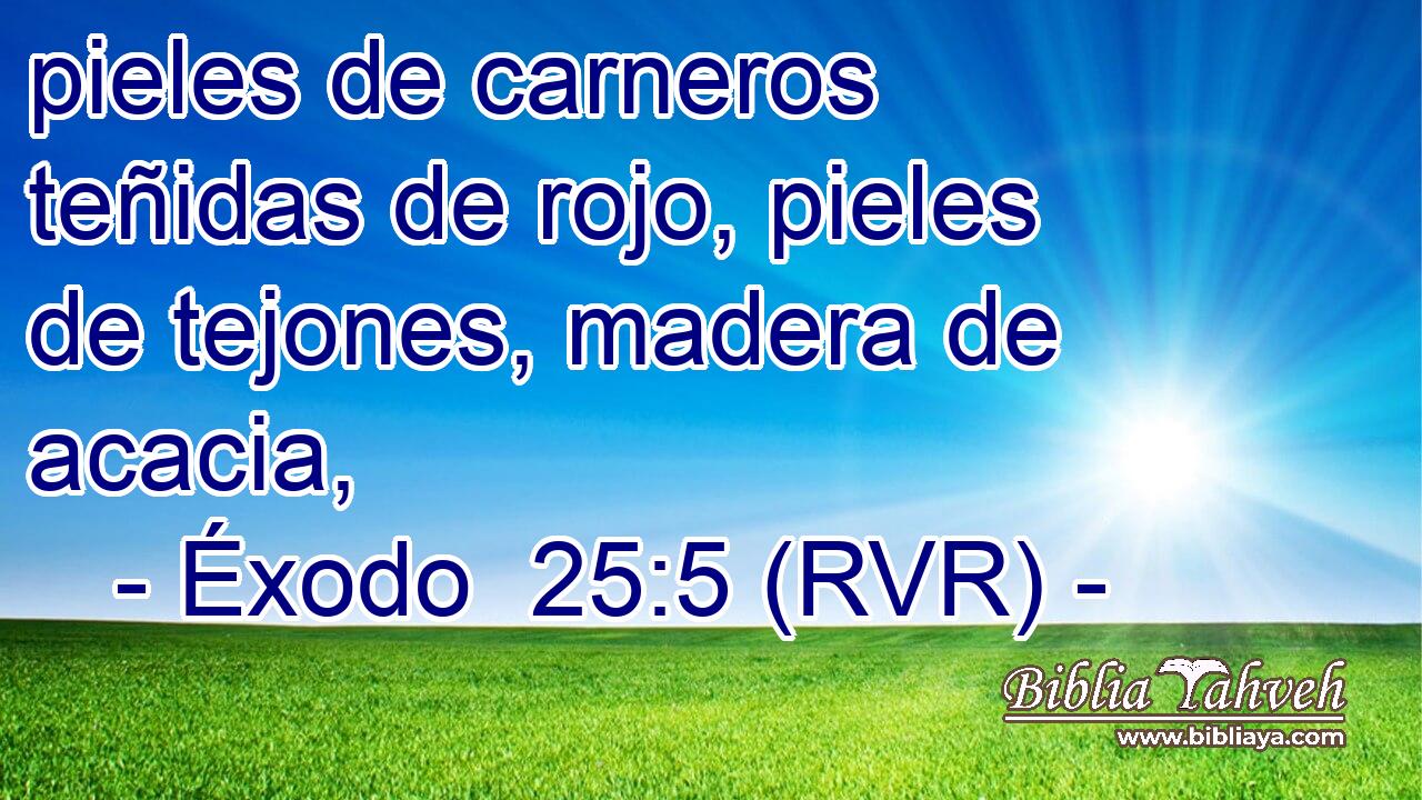 pieles de carneros teñidas de rojo, pieles de tejones, madera de acacia,