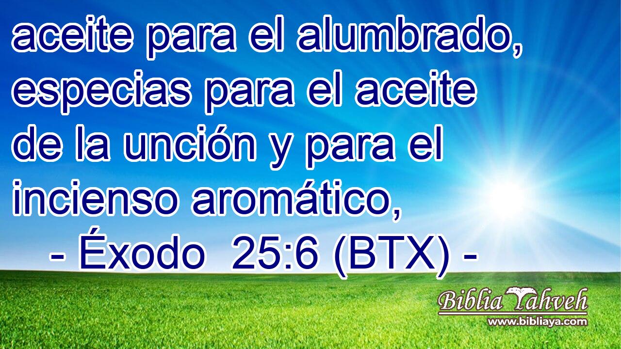 aceite para el alumbrado, especias para el aceite de la unción y para el incienso aromático,