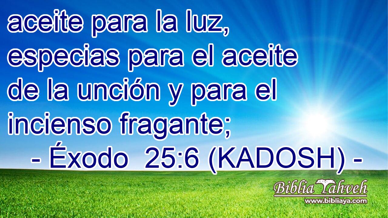  aceite para la luz, especias para el aceite de la unción y para el incienso fragante; 