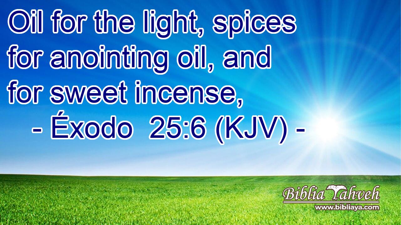 Oil for the light, spices for anointing oil, and for sweet incense,