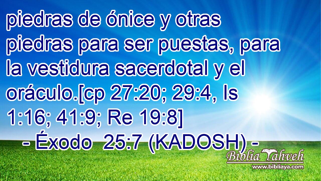  piedras de ónice y otras piedras para ser puestas, para la vestidura sacerdotal y el oráculo.[cp 27:20; 29:4, Is 1:16; 41:9; Re 19:8] 