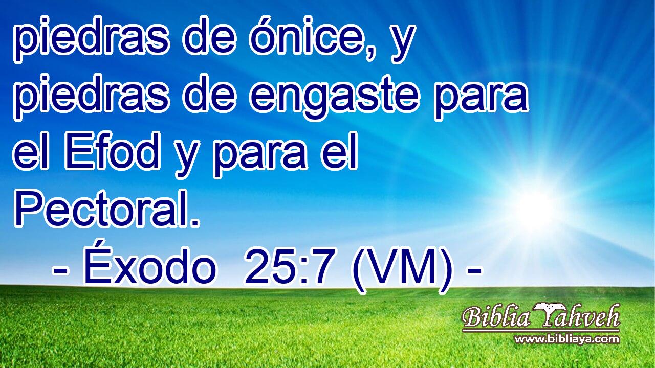  piedras de ónice, y piedras de engaste para el Efod y para el Pectoral. 