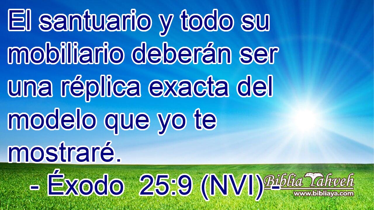  El santuario y todo su mobiliario deberán ser una réplica exacta del modelo que yo te mostraré. 