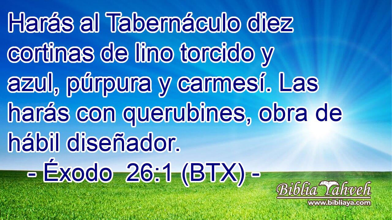 Harás al Tabernáculo diez cortinas de lino torcido y azul, púrpura y carmesí. Las harás con querubines, obra de hábil diseñador.