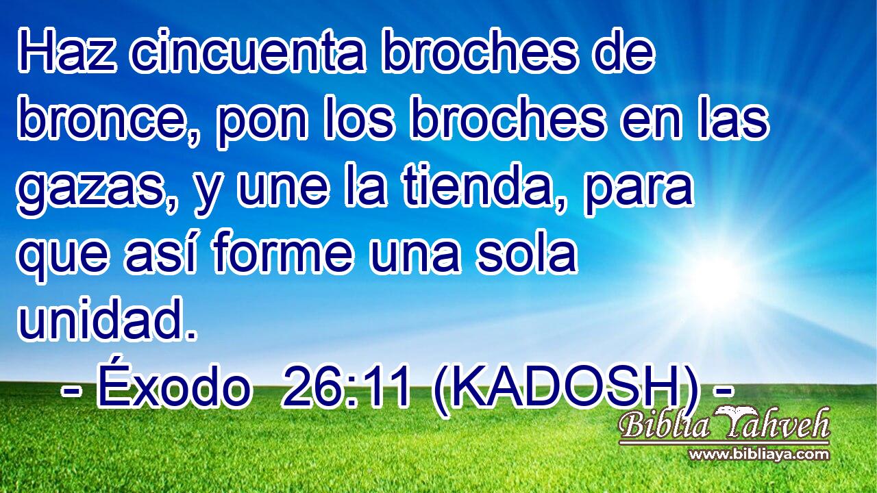 Haz cincuenta broches de bronce, pon los broches en las gazas, y une la tienda, para que así forme una sola unidad. 