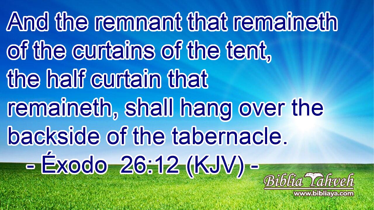 And the remnant that remaineth of the curtains of the tent, the half curtain that remaineth, shall hang over the backside of the tabernacle.