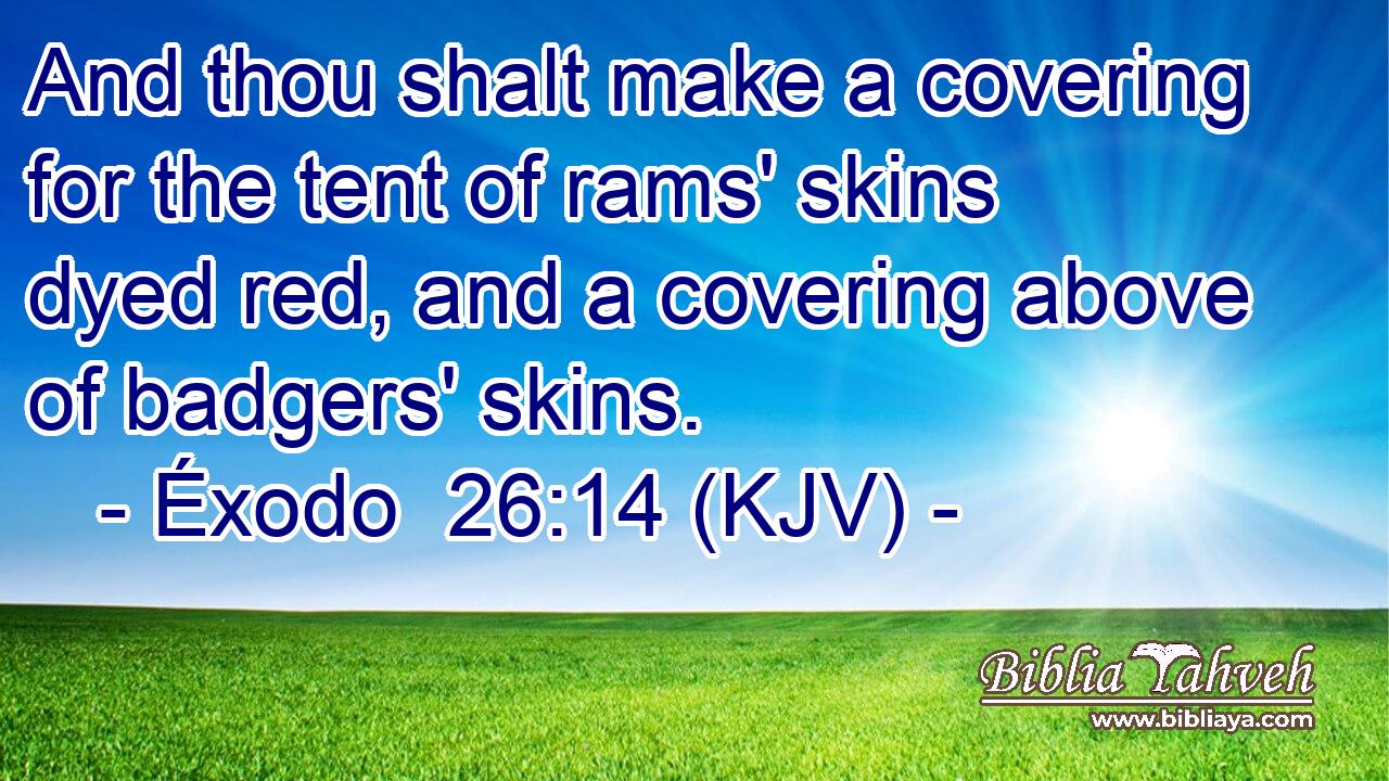 And thou shalt make a covering for the tent of rams' skins dyed red, and a covering above of badgers' skins.