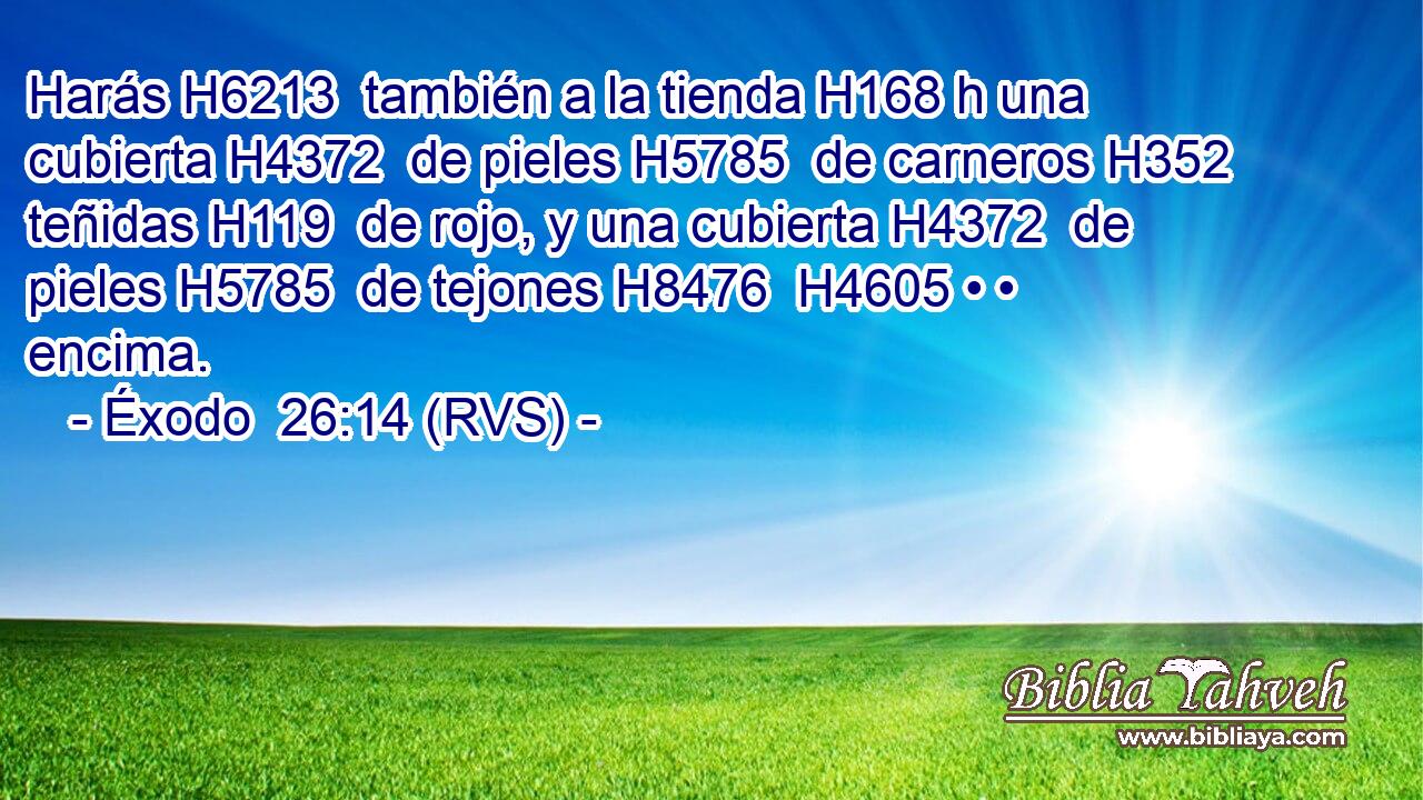 Harás H6213  también a la tienda H168 h una cubierta H4372  de pieles H5785  de carneros H352  teñidas H119  de rojo, y una cubierta H4372  de pieles H5785  de tejones H8476  H4605 • • encima. 