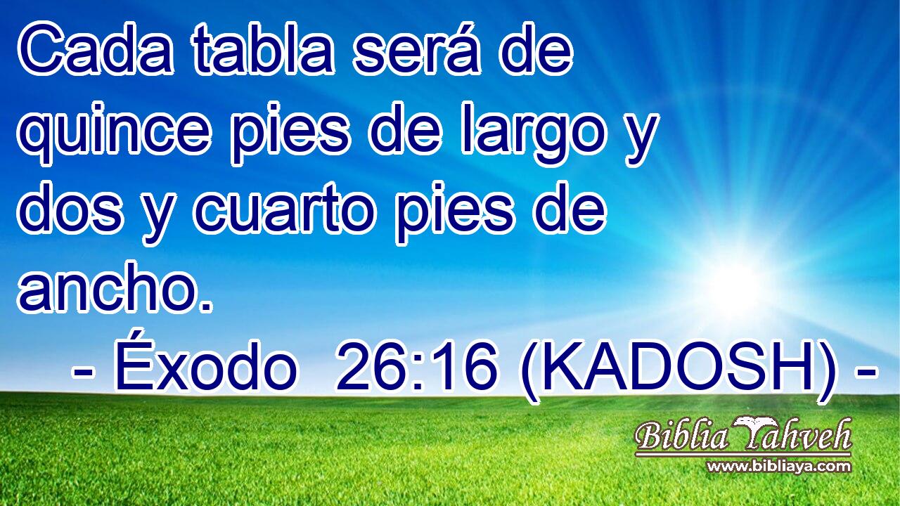  Cada tabla será de quince pies de largo y dos y cuarto pies de ancho. 