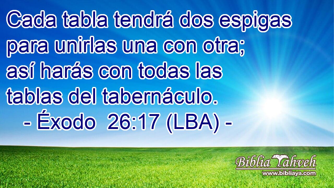 Cada tabla tendrá dos espigas para unirlas una con otra; así harás con todas las tablas del tabernáculo.