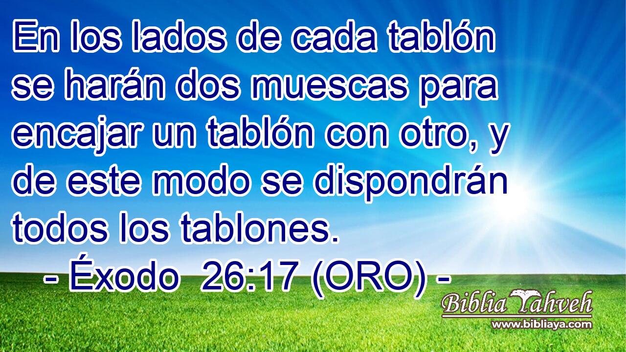  En los lados de cada tablón se harán dos muescas para encajar un tablón con otro, y de este modo se dispondrán todos los tablones. 