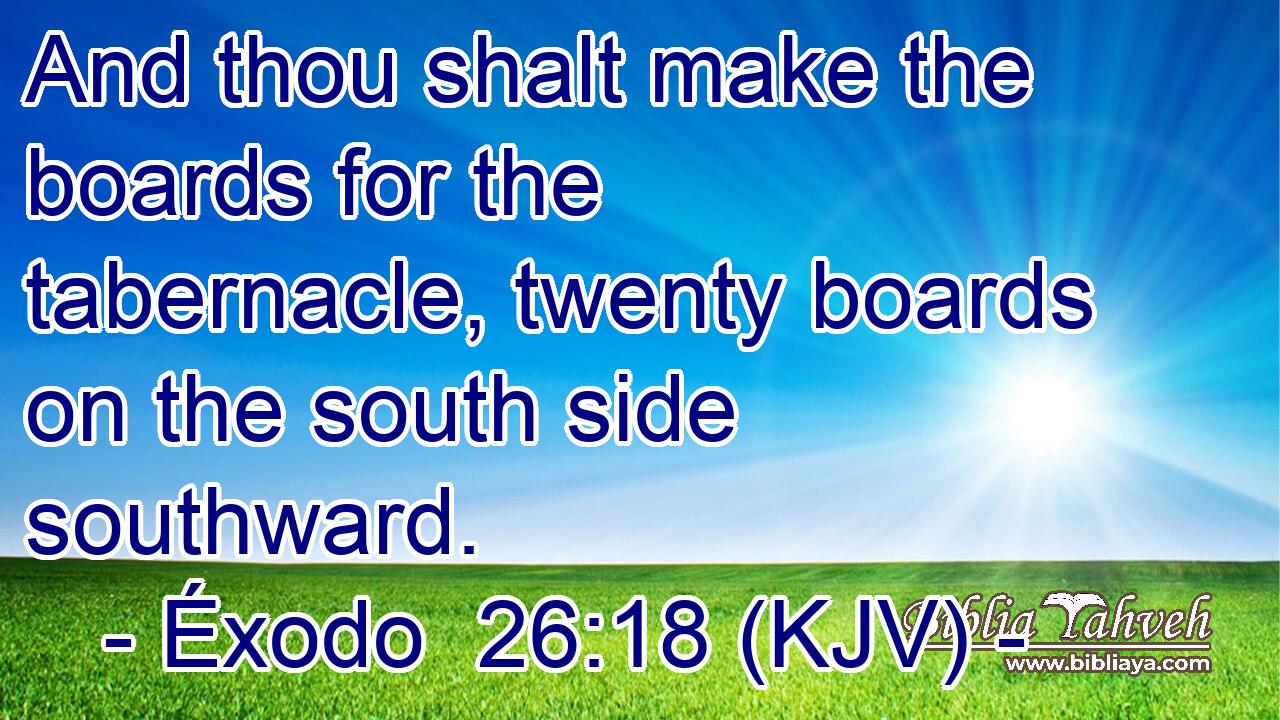 And thou shalt make the boards for the tabernacle, twenty boards on the south side southward.