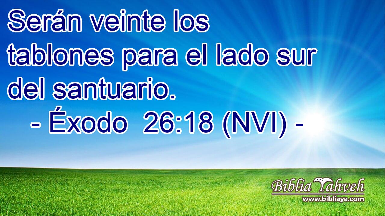  Serán veinte los tablones para el lado sur del santuario. 