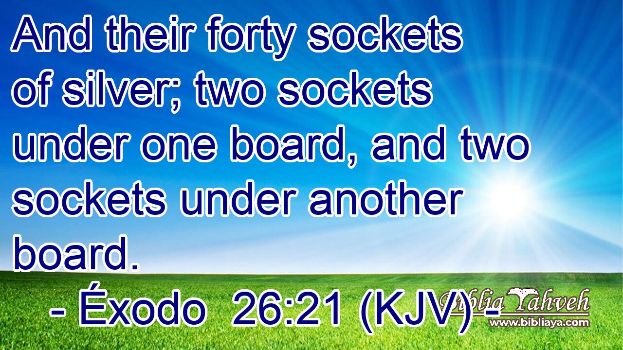 And their forty sockets of silver; two sockets under one board, and two sockets under another board.