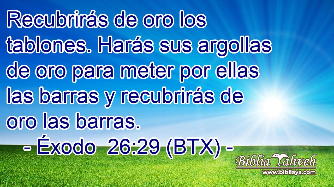 Recubrirás de oro los tablones. Harás sus argollas de oro para meter por ellas las barras y recubrirás de oro las barras.