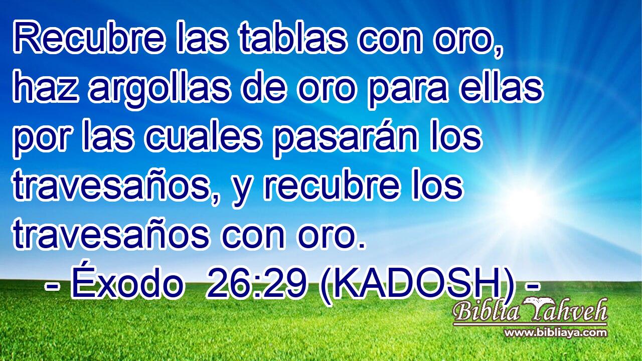  Recubre las tablas con oro, haz argollas de oro para ellas por las cuales pasarán los travesaños, y recubre los travesaños con oro. 