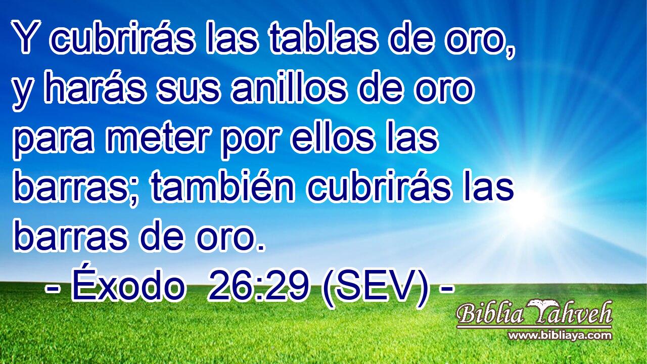 Y cubrirás las tablas de oro, y harás sus anillos de oro para meter por ellos las barras; también cubrirás las barras de oro.