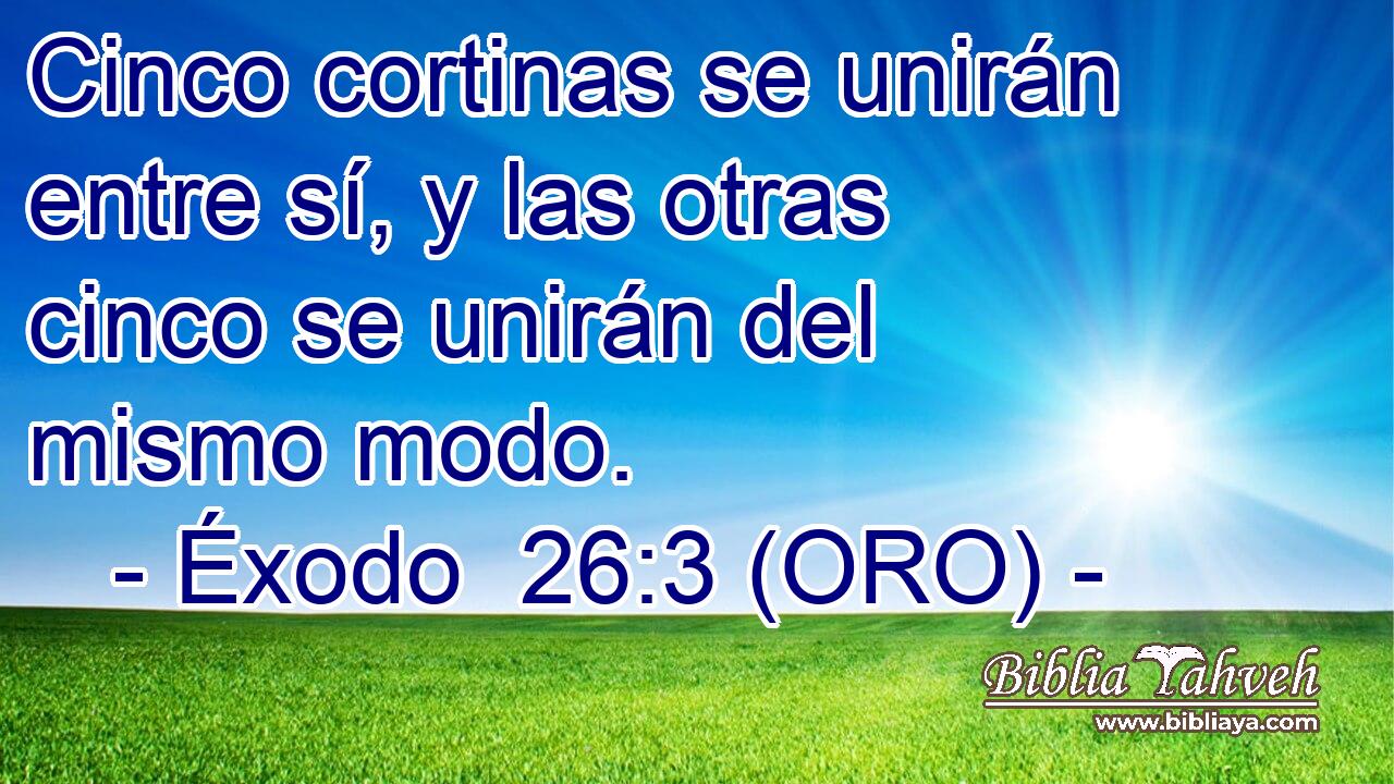  Cinco cortinas se unirán entre sí, y las otras cinco se unirán del mismo modo. 