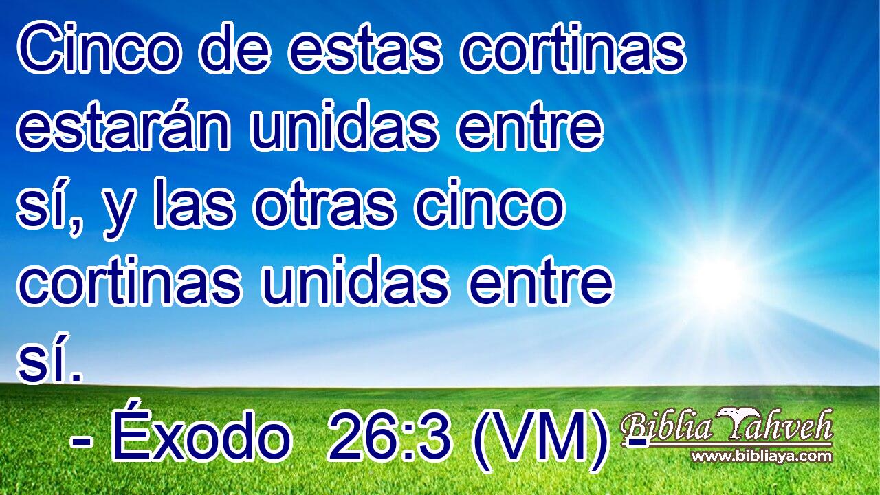  Cinco de estas cortinas estarán unidas entre sí, y las otras cinco cortinas unidas entre sí. 