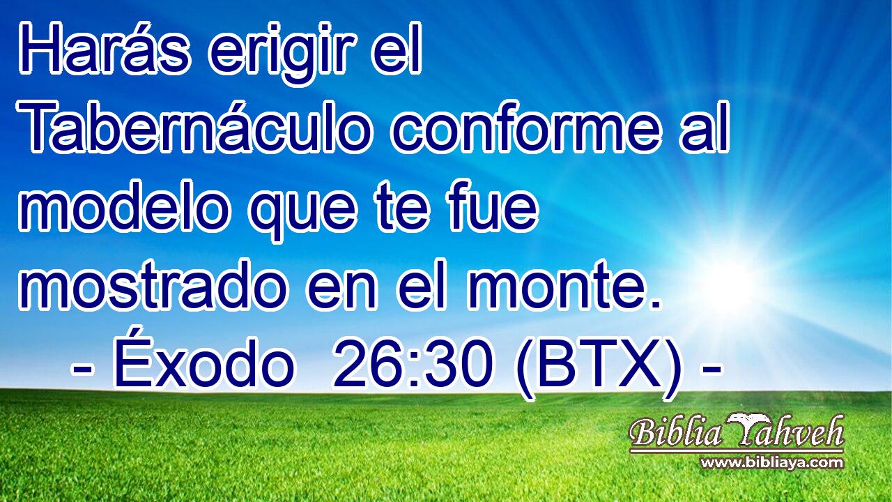 Harás erigir el Tabernáculo conforme al modelo que te fue mostrado en el monte.