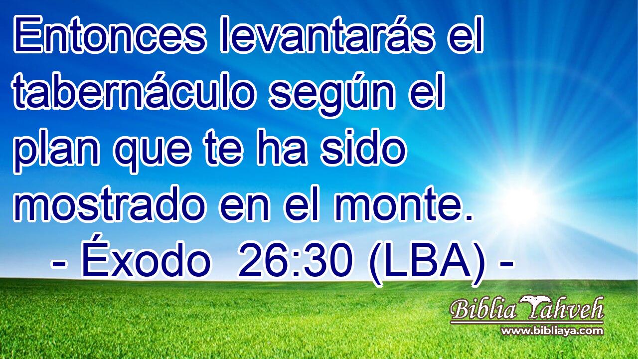 Entonces levantarás el tabernáculo según el plan que te ha sido mostrado en el monte.