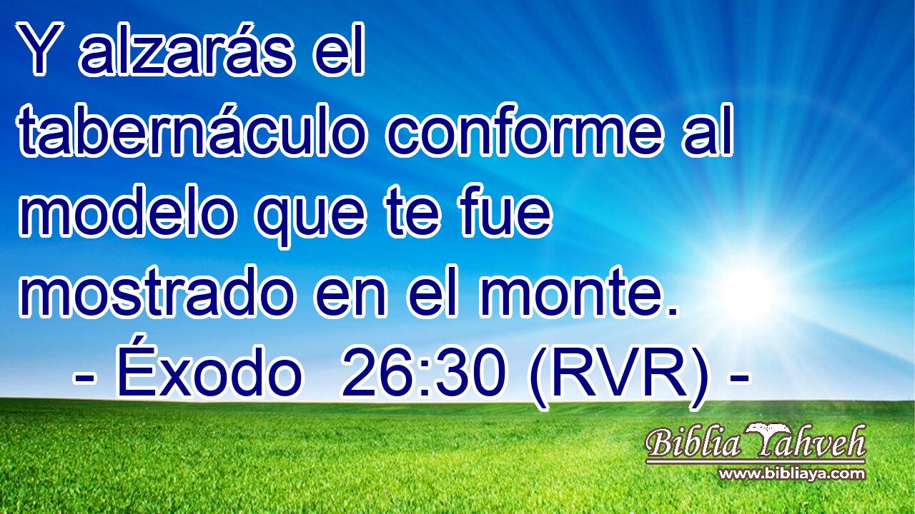 Y alzarás el tabernáculo conforme al modelo que te fue mostrado en el monte.