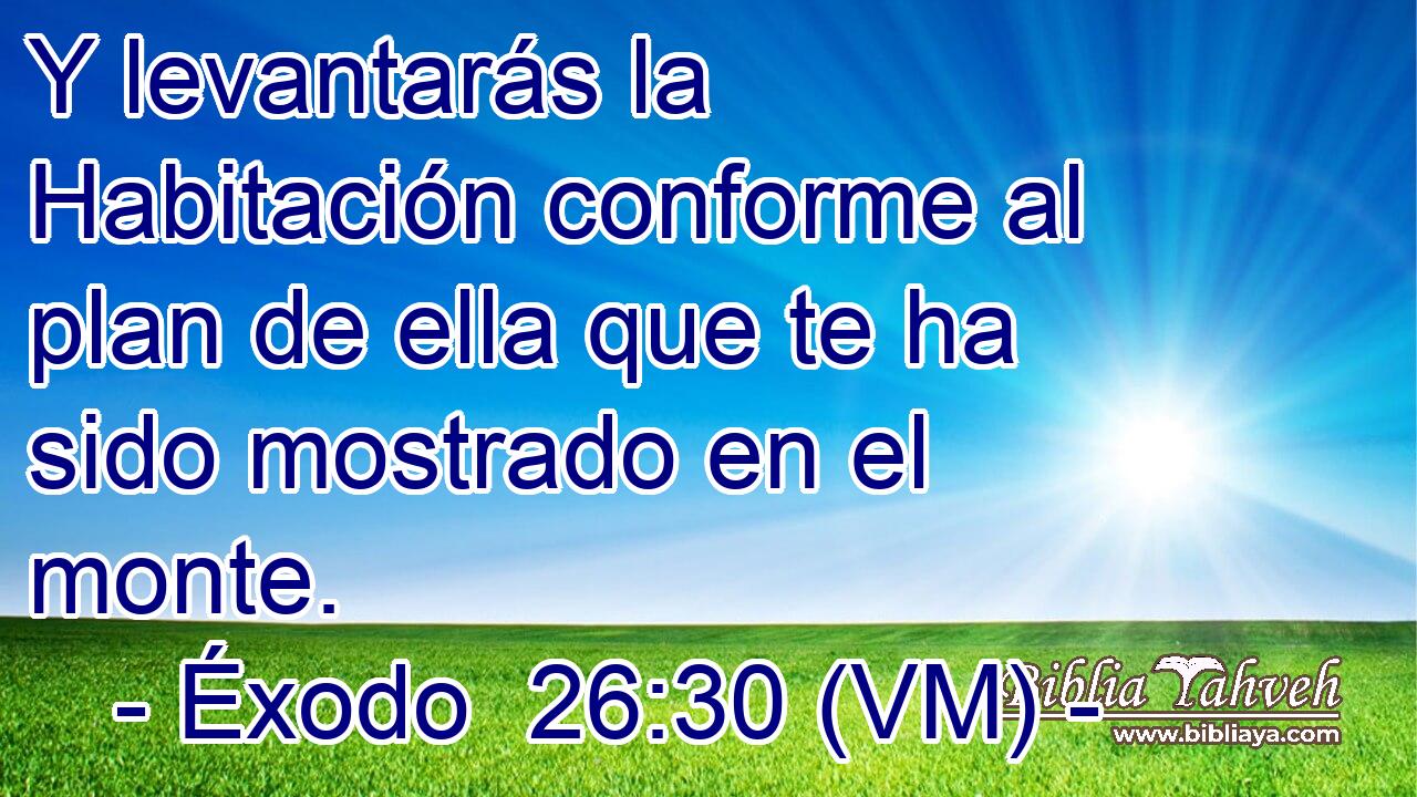  Y levantarás la Habitación conforme al plan de ella que te ha sido mostrado en el monte. 