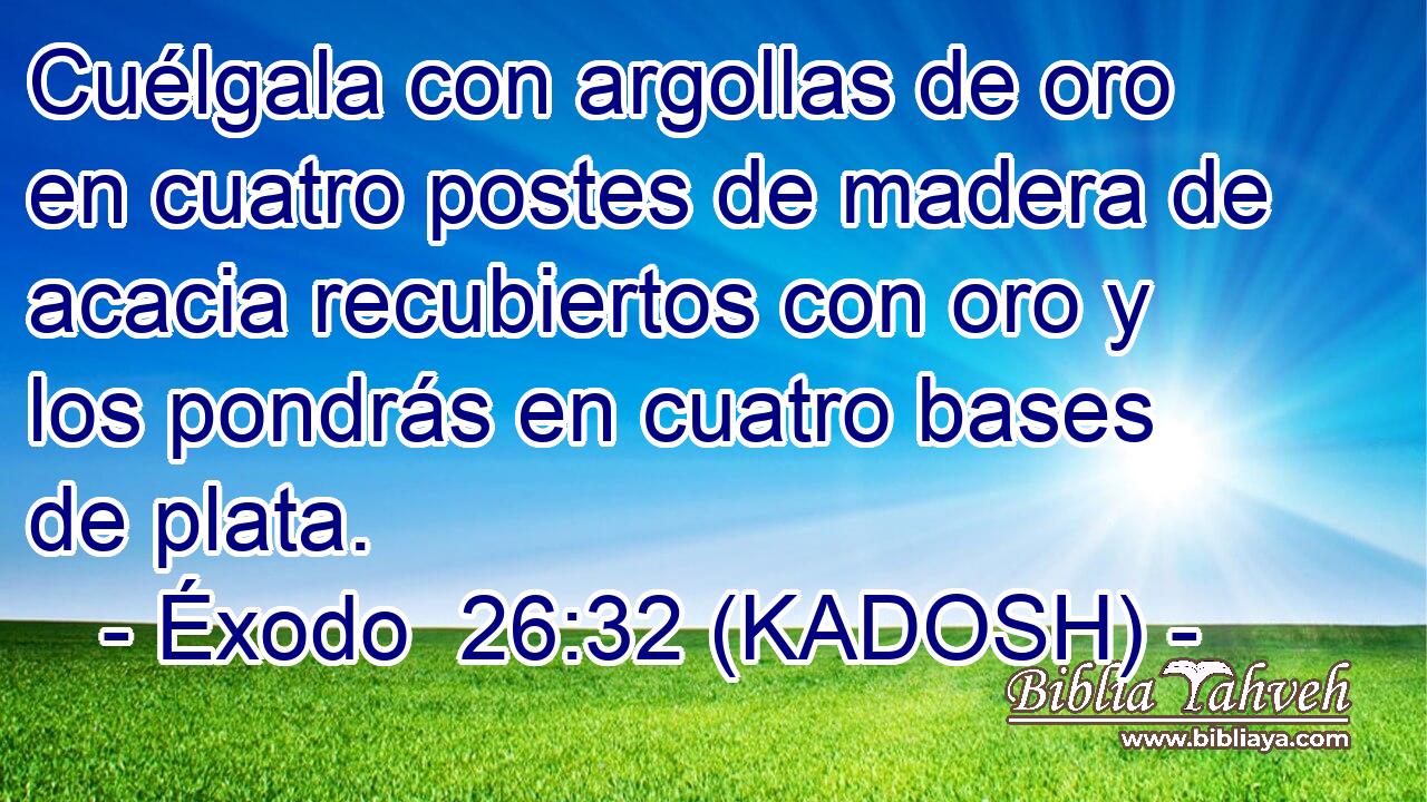  Cuélgala con argollas de oro en cuatro postes de madera de acacia recubiertos con oro y los pondrás en cuatro bases de plata. 